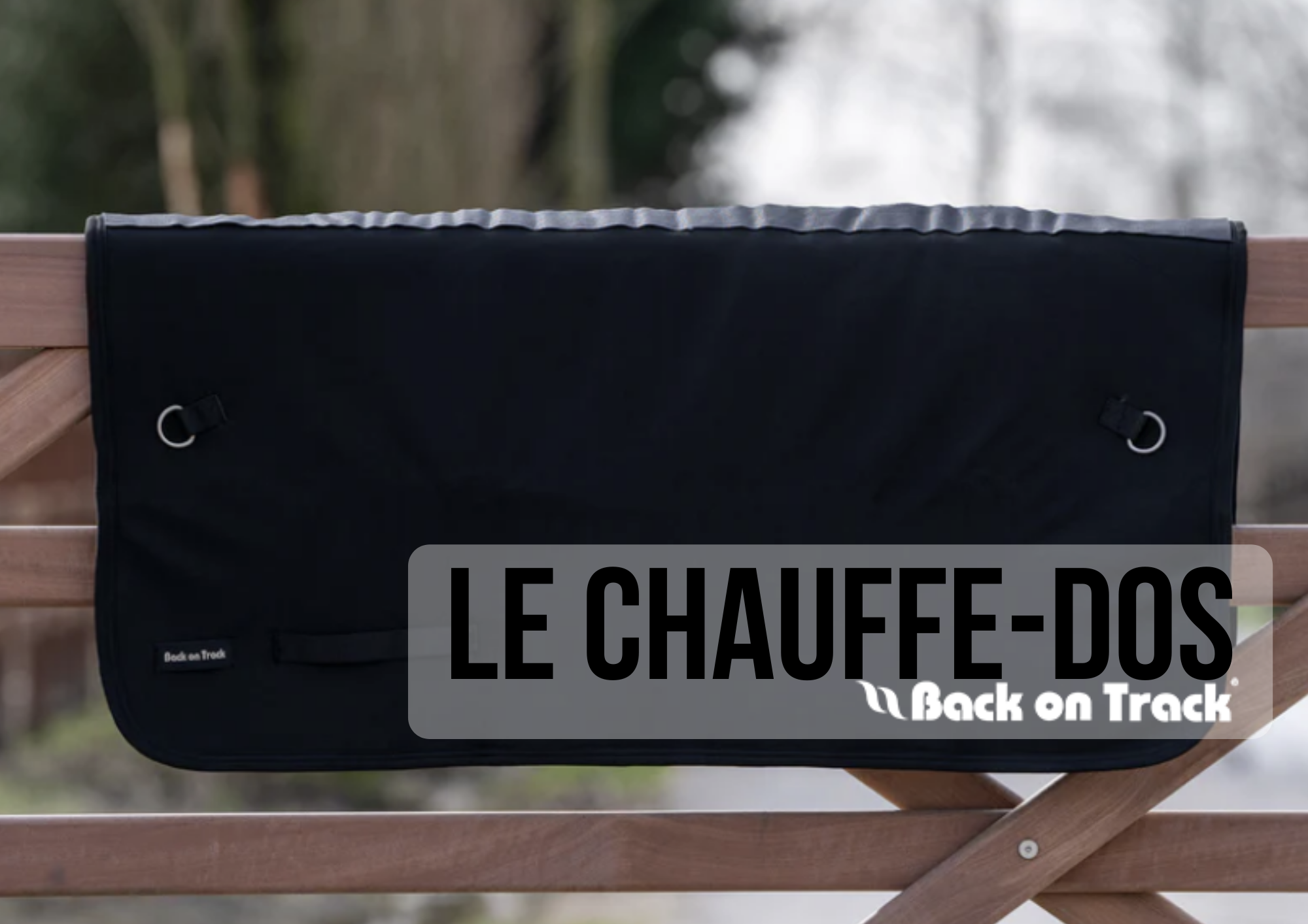 Tapis de selle thérapeutiques – Soutien et confort du dos