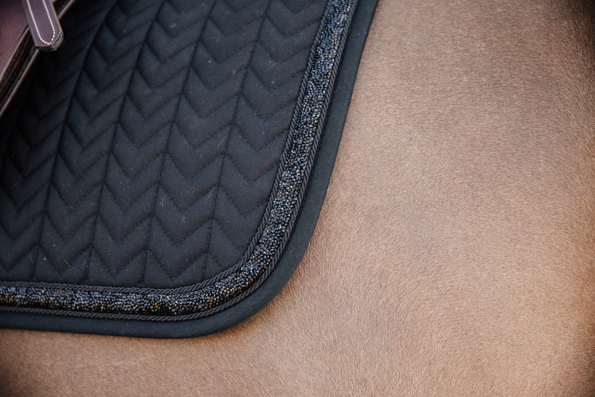 Tapis de selle Glitter Stone MIXTE - Kentucky