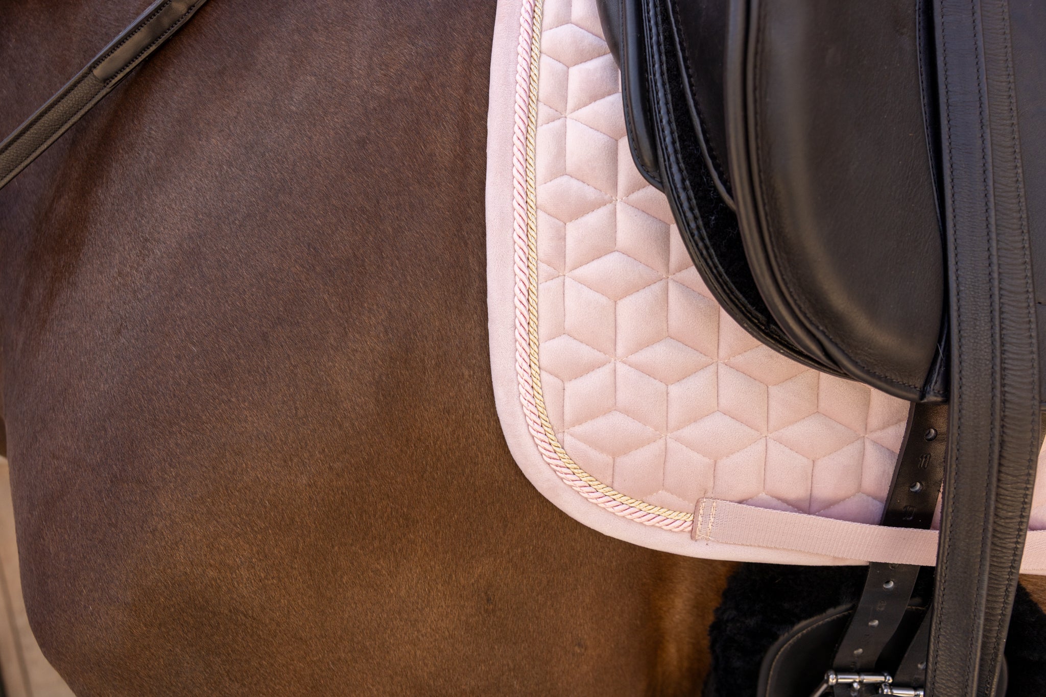 Tapis de selle Velvet Rose pale DRESSAGE - Kentucky