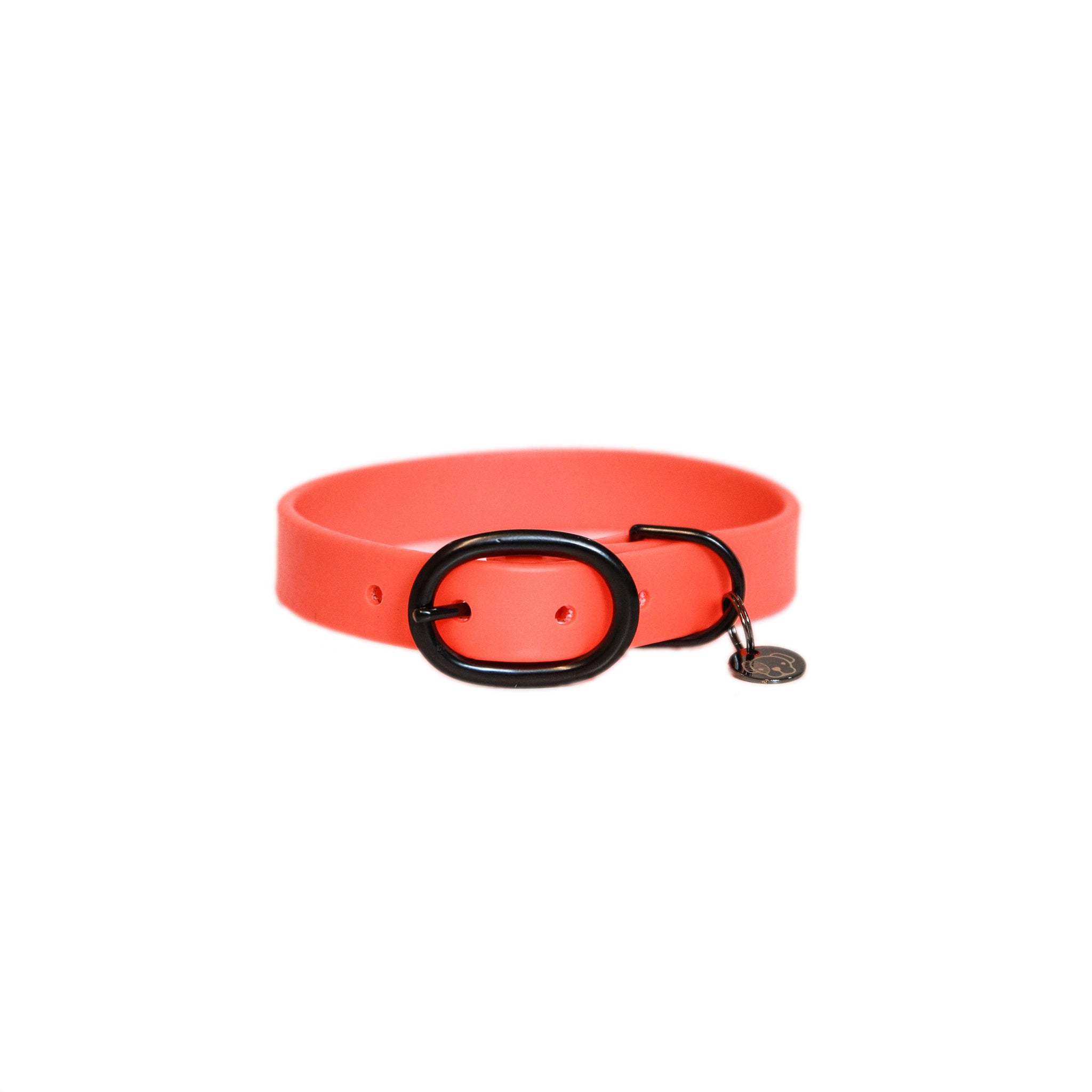 Collier pour chien Soft Rubber - Kentucky