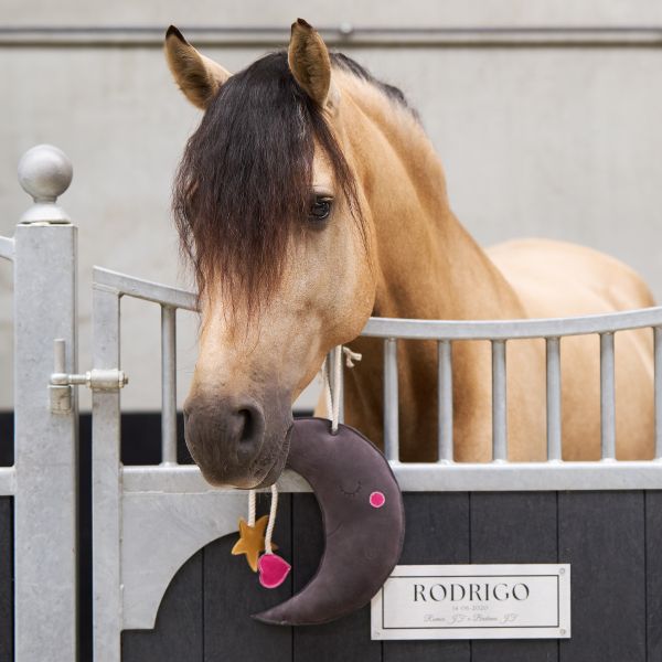 Buddy Horseshoes Horseshoe Box Toy - Imperial Riding