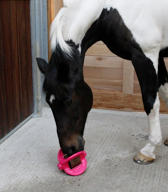 Bizzy Ball Refill - Bizzy Horse