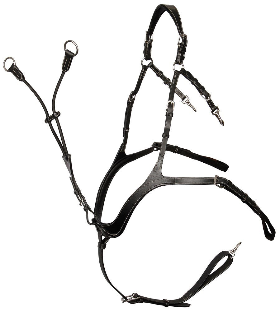 Collier de chasse DELUXE - Harry&