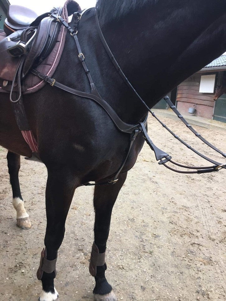 Collier de chasse DELUXE - Harry&