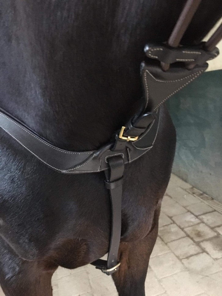 Collier de chasse DELUXE - Harry&