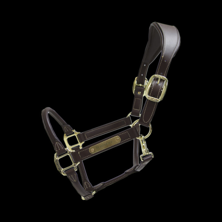 Anatomical leather halter - Kentucky