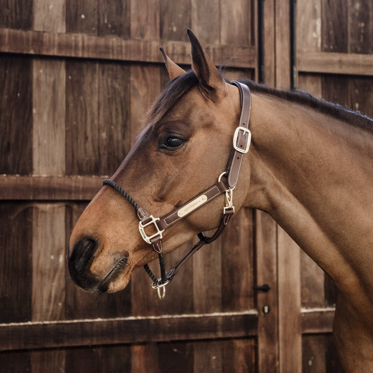 Leather rope halter - Kentucky