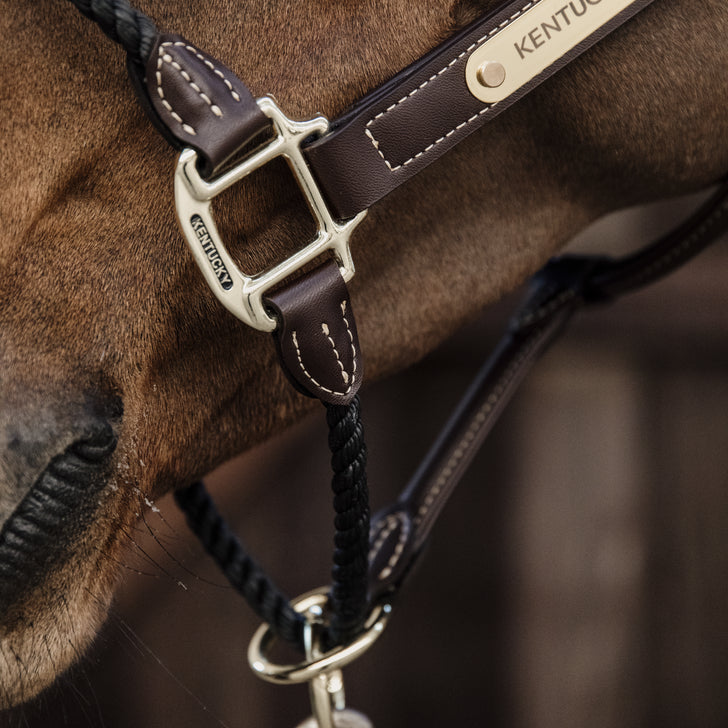 Leather rope halter - Kentucky
