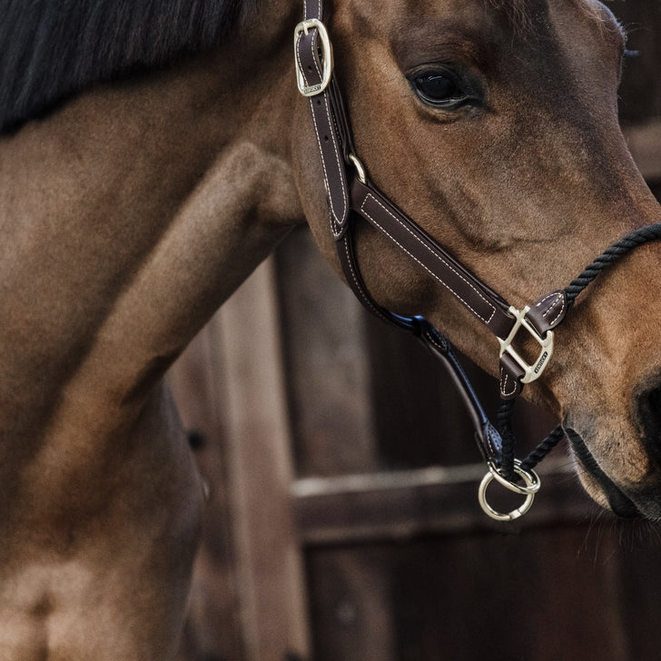 Leather rope halter - Kentucky