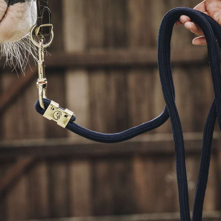 Basic Lanyard - Kentucky