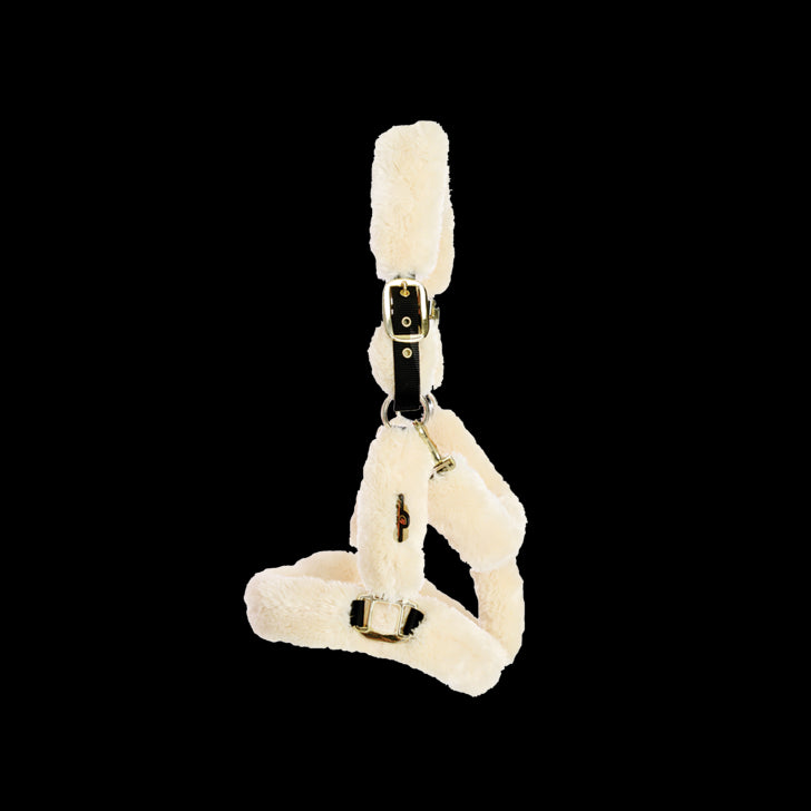 Sheep transport halter - Kentucky