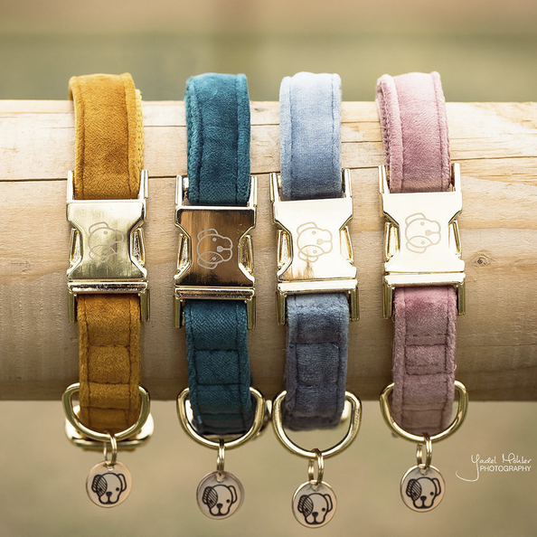 Velvet dog collar - Kentucky