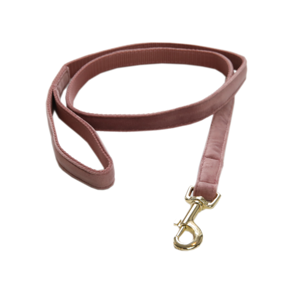 Laisse pour chien Velvet 120 cm - Kentucky