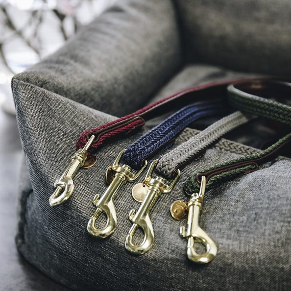 Laisse pour chien en Nylon tressée - Kentucky