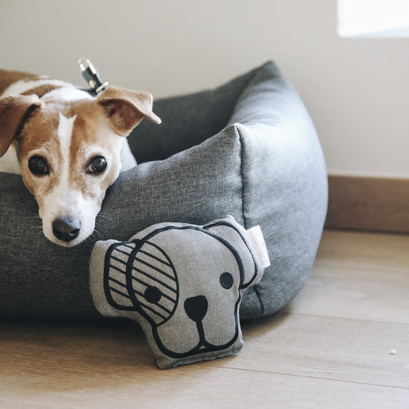 Jouet pour chien Dog Head - Kentucky