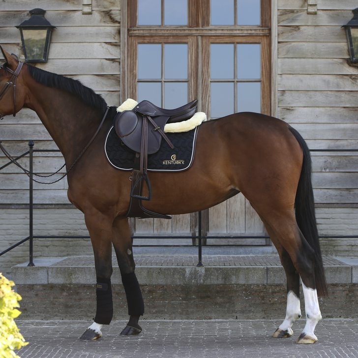 Saddle pad - Kentucky