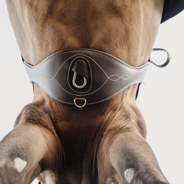 Sangle anatomique longue - Kentucky