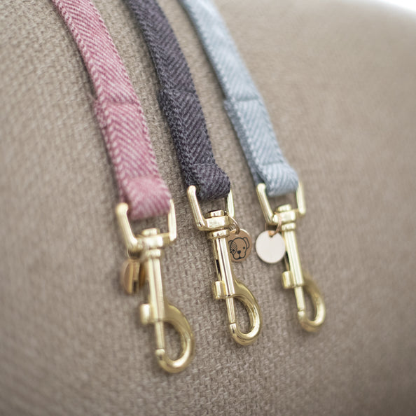 Laisse pour chien Wool - Kentucky