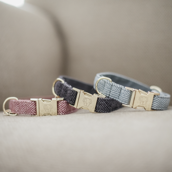 Collier pour chien Wool - Kentucky