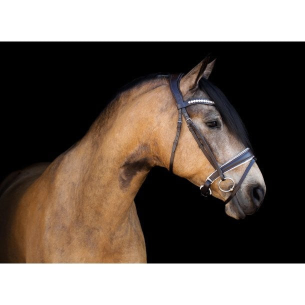CRYSTAL ROCKS noseband brown/white - SD Design