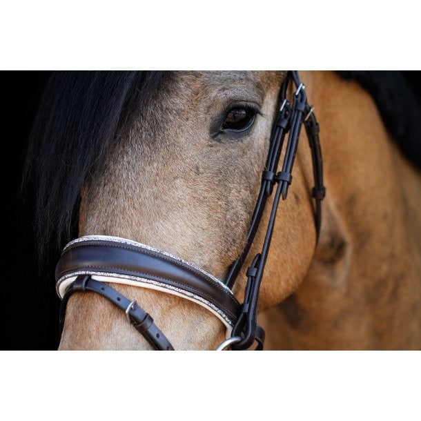 CRYSTAL ROCKS noseband brown/white - SD Design