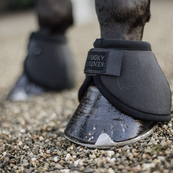 Glome guard bells - Kentucky