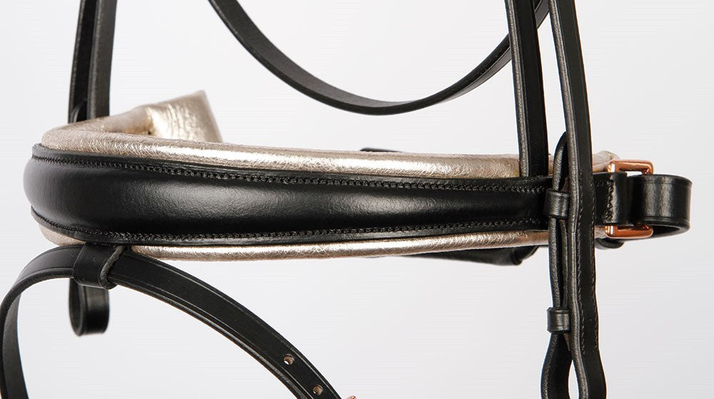 Bridon Rise & Shine - Harry&