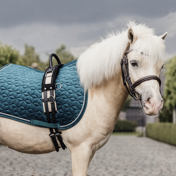 Tapis Velvet Pony - Kentucky