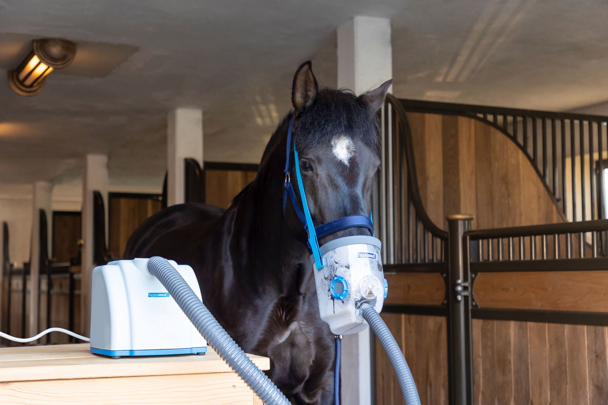 Nebulisateur à ultrasons pour chevaux AirOne - Hippomed