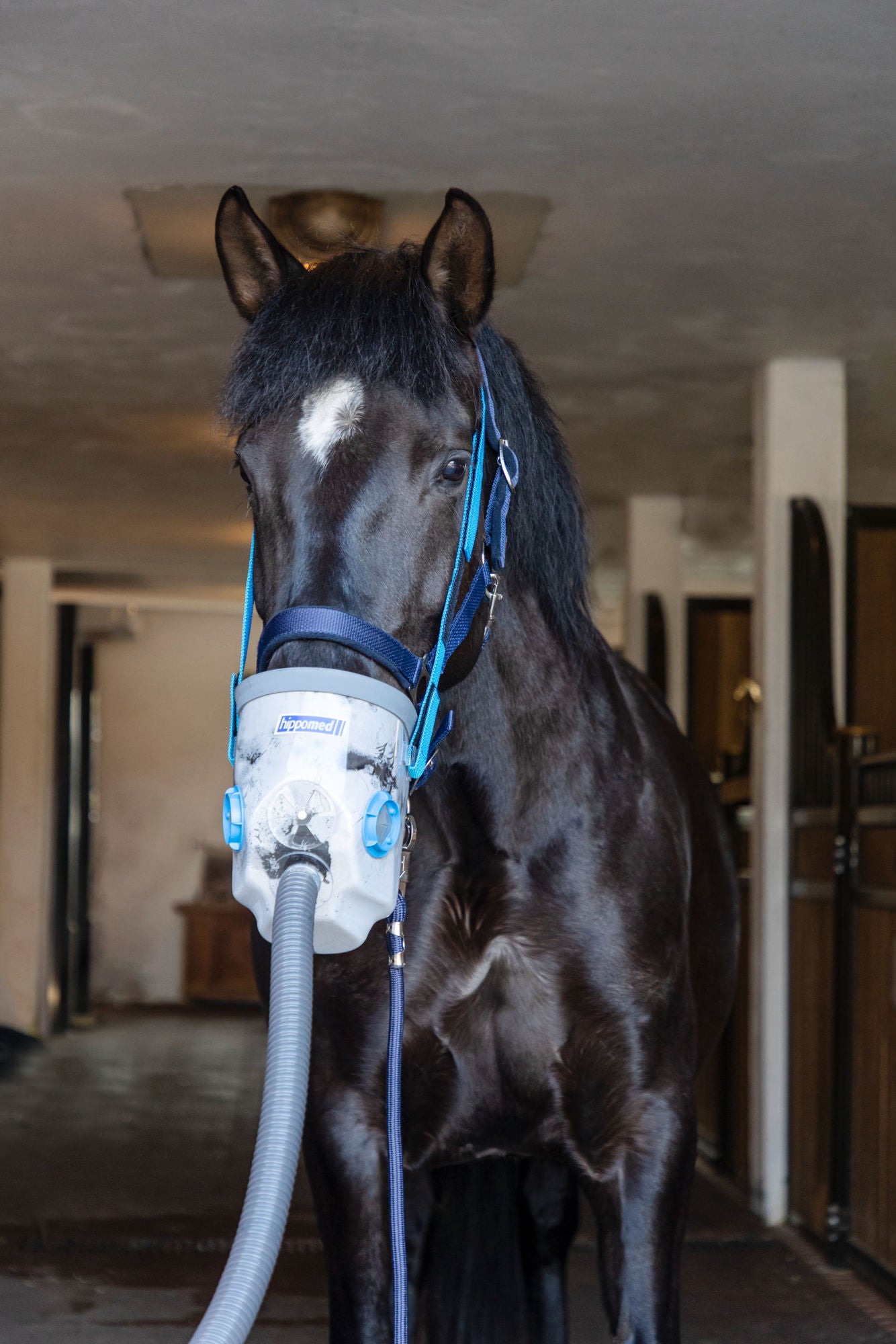 Nebulisateur à ultrasons pour chevaux AirOne - Hippomed
