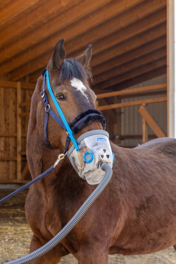 Masque nebulisation avec accessoires Air One - Hippomed