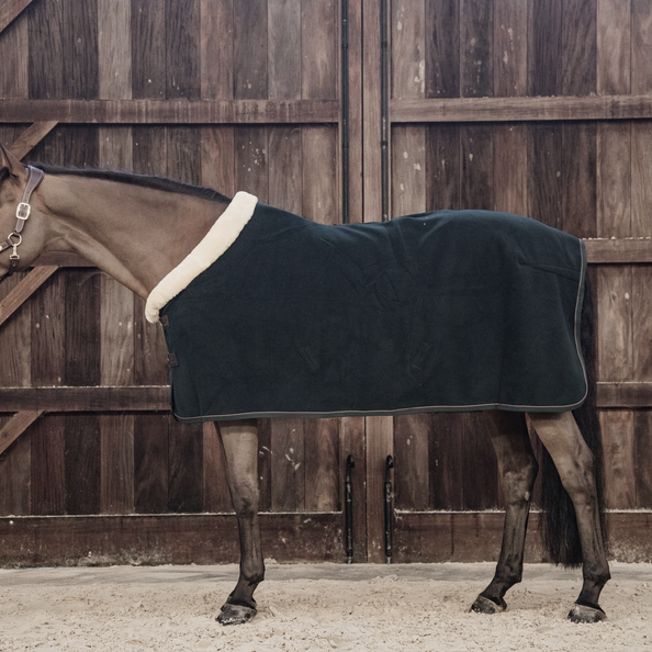 Show Heavy Drying Blanket - Kentucky