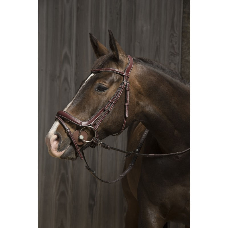 Lyon Duo Bridle - Protanner