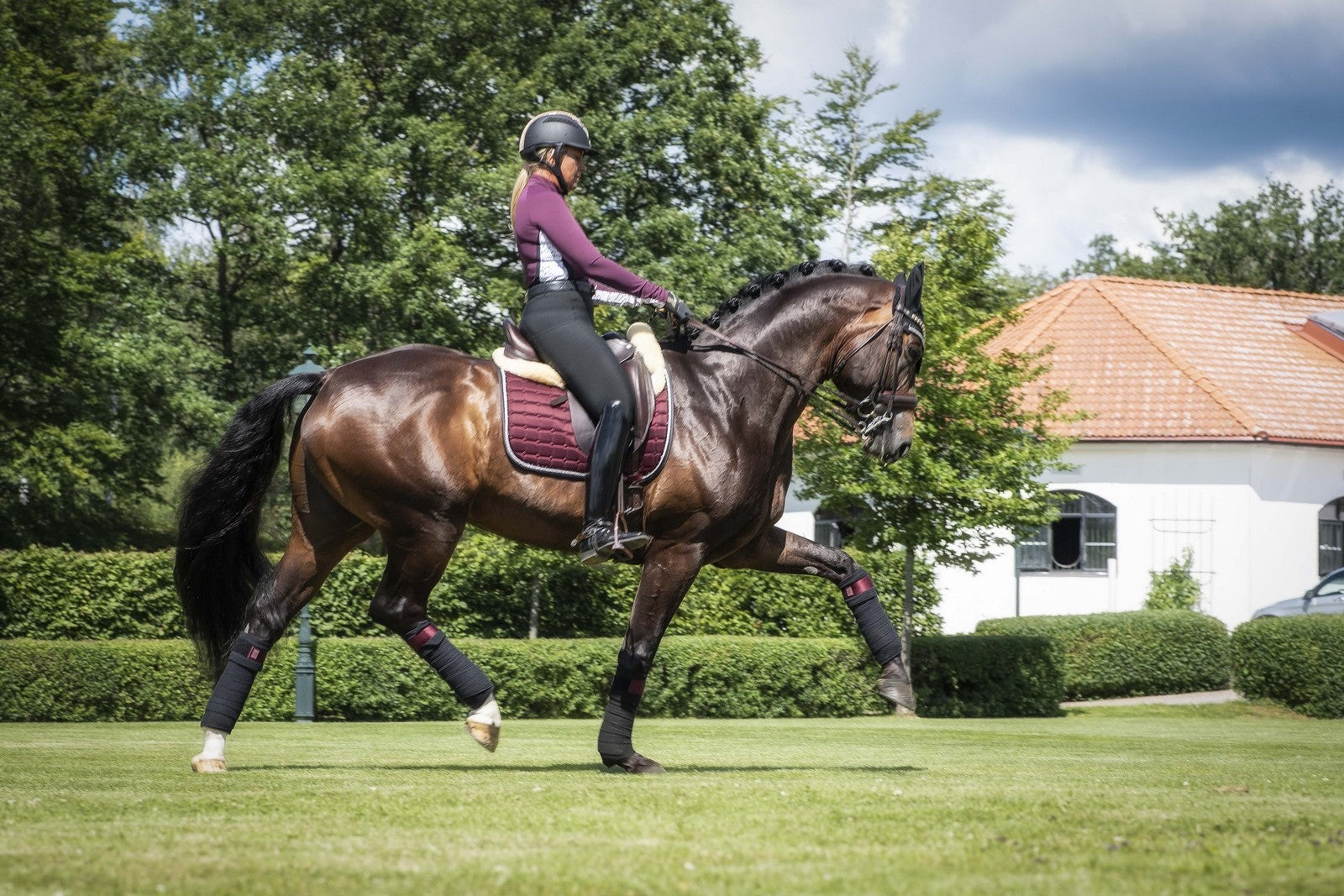 EQUITO saddle pad - Black Cherry