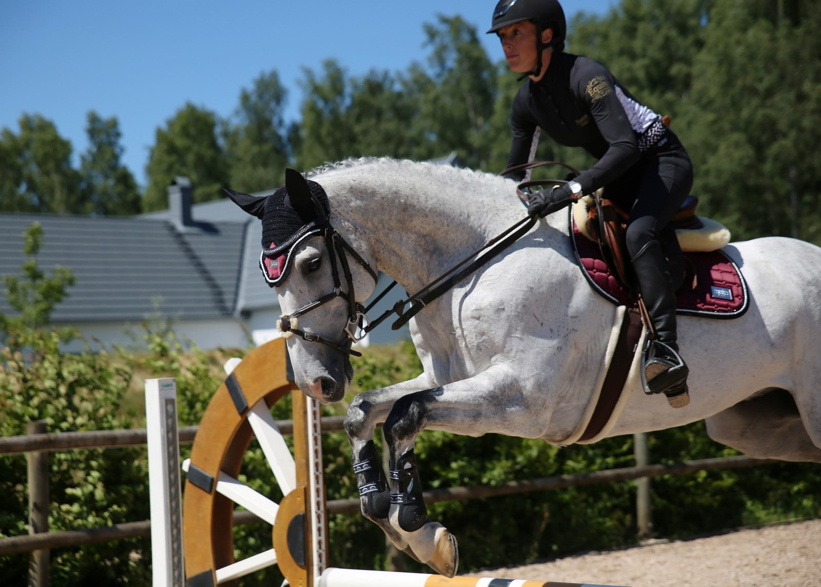 EQUITO saddle pad - Black Cherry
