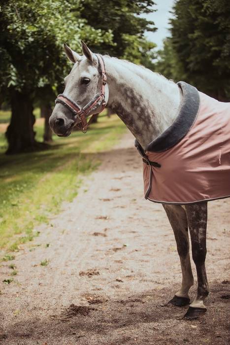 Equestrian Stockholm Fleece Sheepskin Blanket - Pink