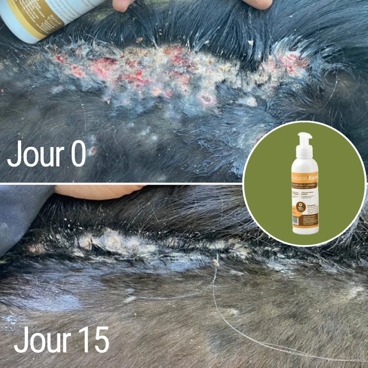 Crème désinfectante et cicatrisante Natural&