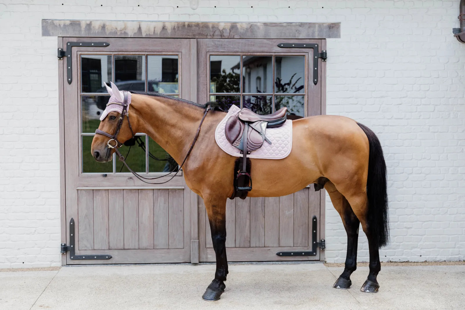 Tapis de selle Onion Quilt Rubber Logo MIXTE - Kentucky