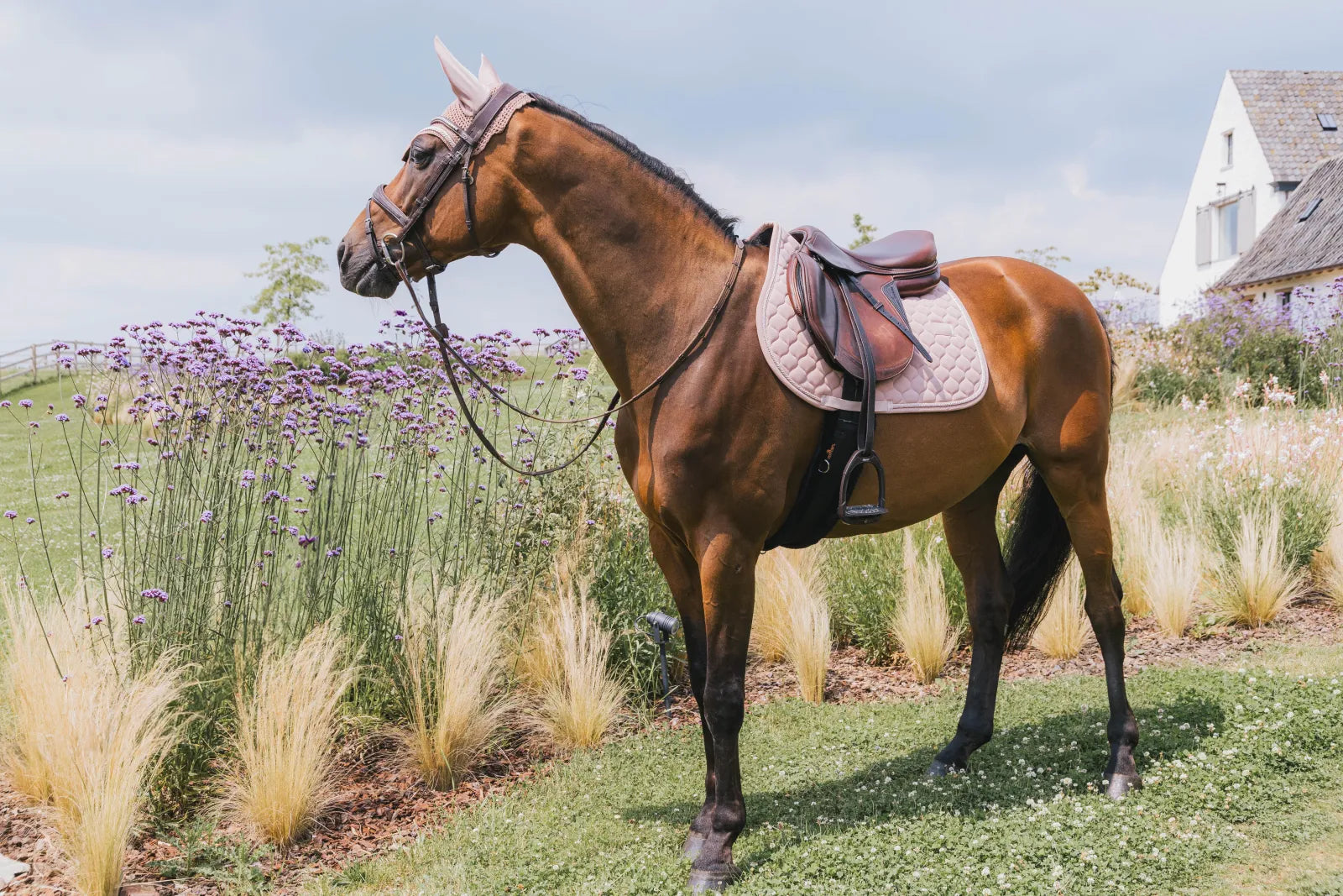 Tapis de selle Onion Quilt Rubber Logo MIXTE - Kentucky