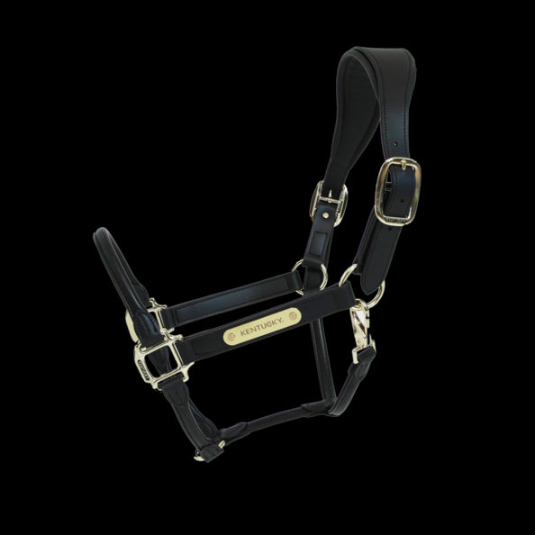 Anatomical leather halter - Kentucky