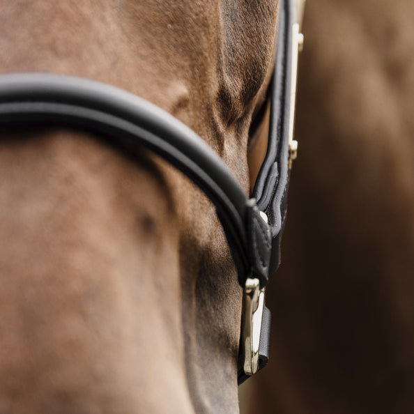Anatomical leather halter - Kentucky