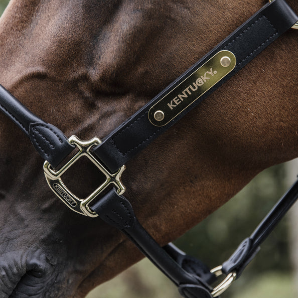 Anatomical leather halter - Kentucky