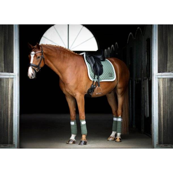 Bandes de polo BE TEMPTED Peppermint Cakepop - SD Design