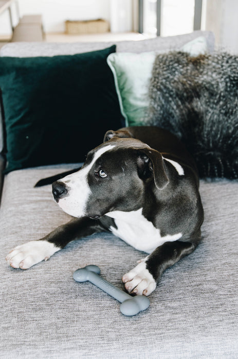 Jouet pour chien silicone Os - Kentucky