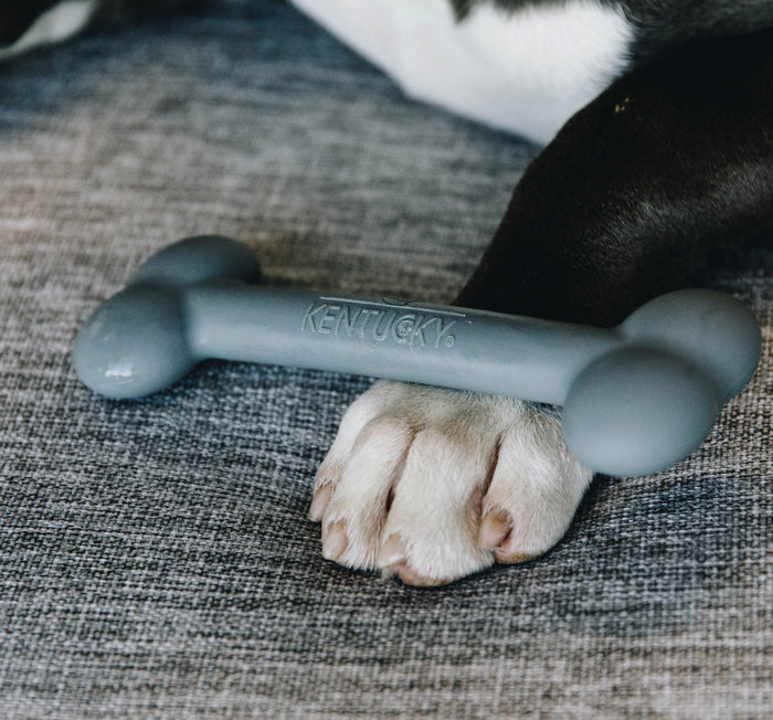 Jouet pour chien silicone Os - Kentucky