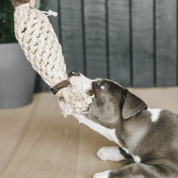 Jouet pour chien avec corde en coton Pineapple - Kentucky