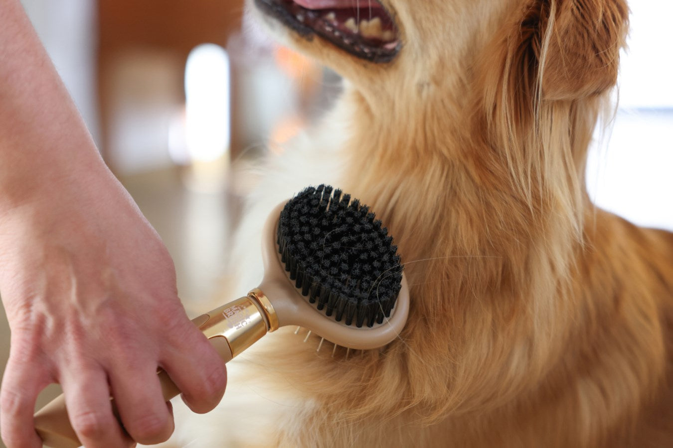 Brosse pour chien double - Magic Brush