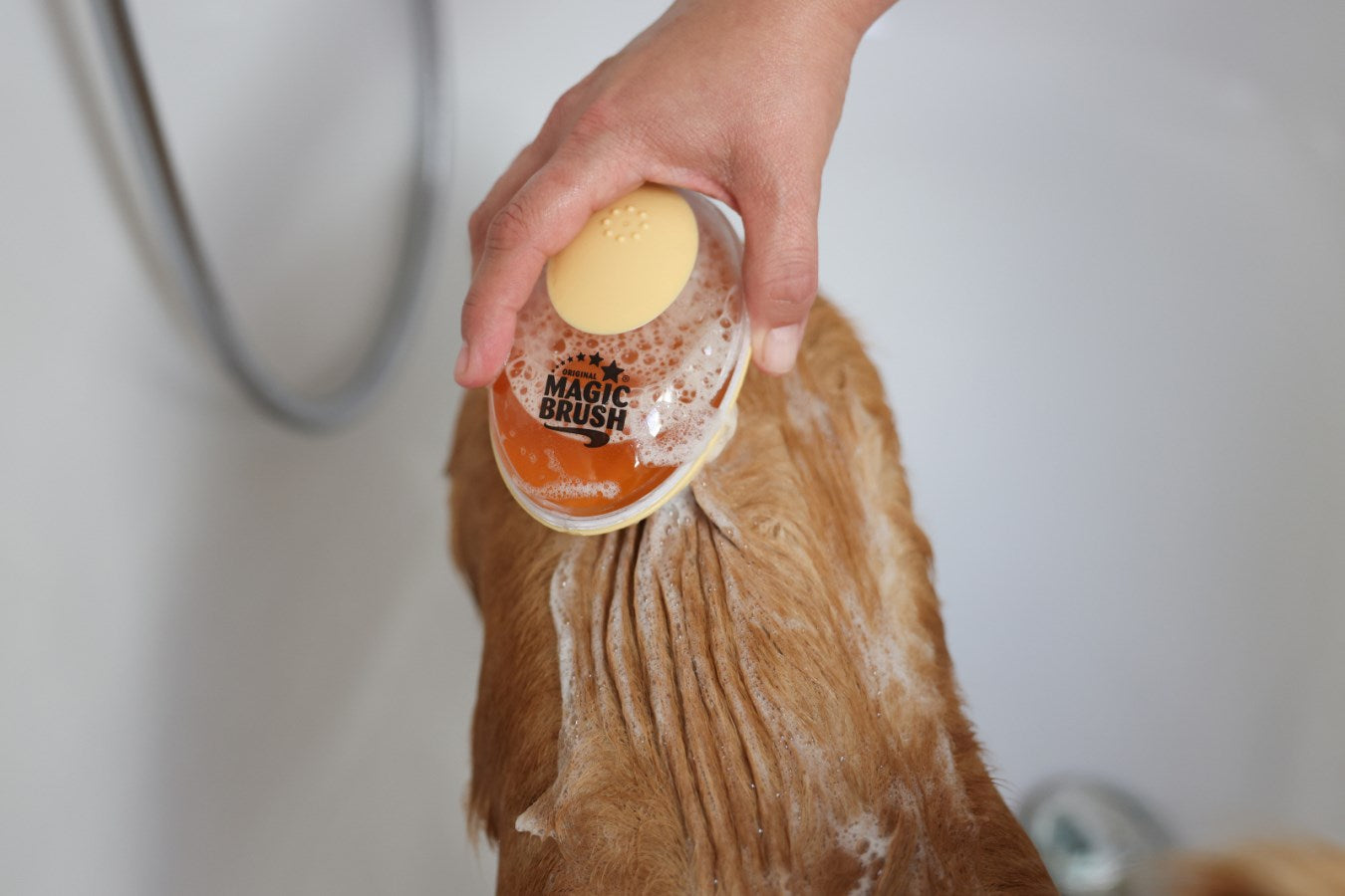 Brosse shampoing - Magic Brush