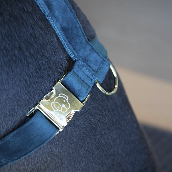 Harnais pour chien Velvet - Kentucky