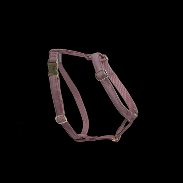 Harnais pour chien Velvet - Kentucky